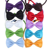 Multicolor Bow Tie