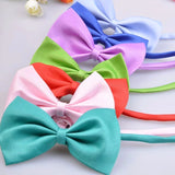 Multicolor Bow Tie
