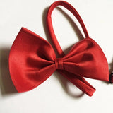 Multicolor Bow Tie