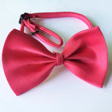Multicolor Bow Tie