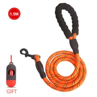 Nylon Rope Leash