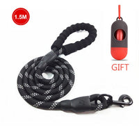 Nylon Rope Leash