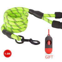 Nylon Rope Leash