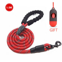 Nylon Rope Leash