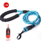 Nylon Rope Leash