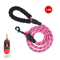 Nylon Rope Leash