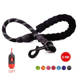 Nylon Rope Leash