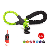 Nylon Rope Leash