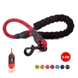 Nylon Rope Leash