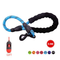 Nylon Rope Leash