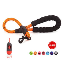 Nylon Rope Leash