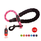 Nylon Rope Leash