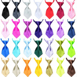 Colorful Bow Tie