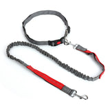 Reflective Nylon Leash