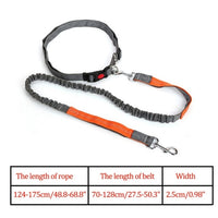 Reflective Nylon Leash