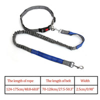 Reflective Nylon Leash