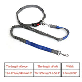 Reflective Nylon Leash