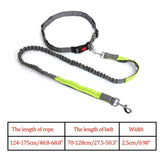 Reflective Nylon Leash