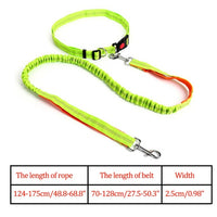 Reflective Nylon Leash