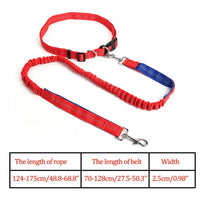 Reflective Nylon Leash