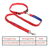 Reflective Nylon Leash