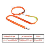 Reflective Nylon Leash