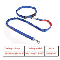 Reflective Nylon Leash