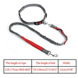 Reflective Nylon Leash