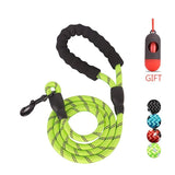 Nylon Rope Leash