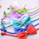Multicolor Bow Tie
