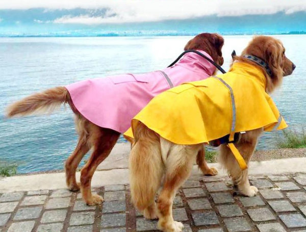 Reflective Pet Raincoat